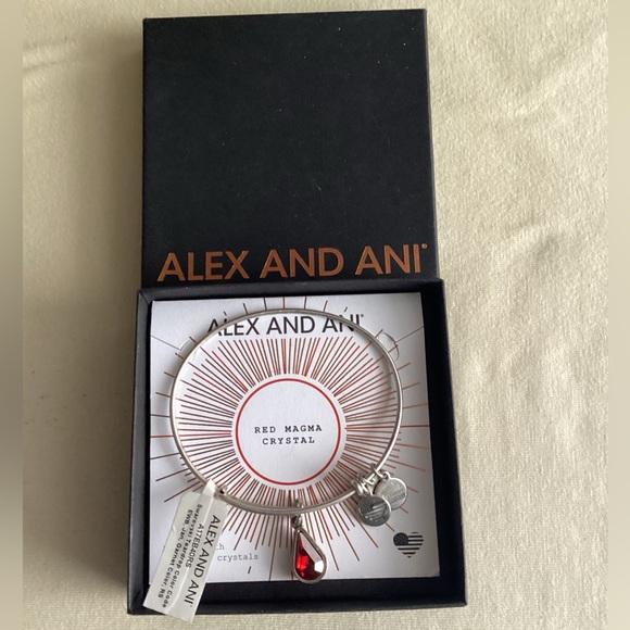 Alex and Ani Bracelet - Picture 1 of 4